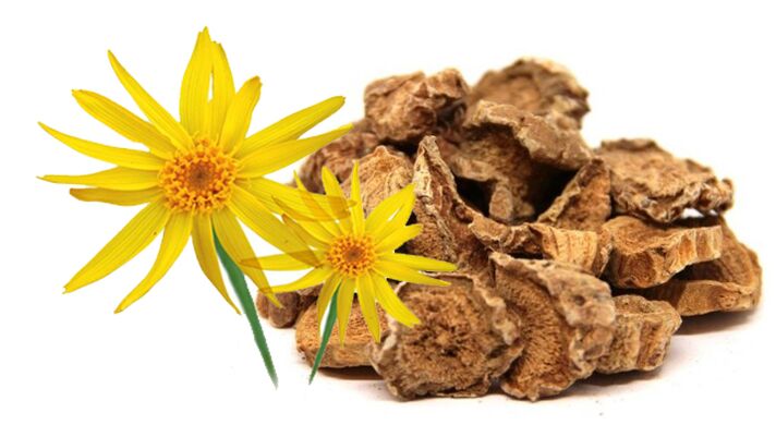 devil root and arnica in Hondrolife